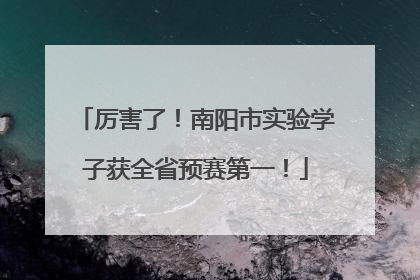 厉害了！南阳市实验学子获全省预赛第一！