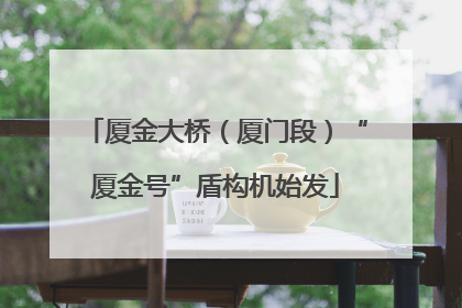 厦金大桥（厦门段）“厦金号”盾构机始发