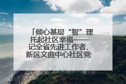 倾心基层“智”理 托起社区幸福——记全省先进工作者、新区文曲中心社区党委书记董世弘
