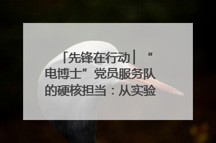 先锋在行动 ▏“电博士”党员服务队的硬核担当：从实验室到抗洪一线