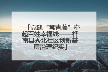 党建“常青藤”牵起百姓幸福线——桦南县秀北社区创新基层治理纪实