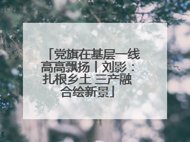 党旗在基层一线高高飘扬丨刘影：扎根乡土 三产融合绘新景