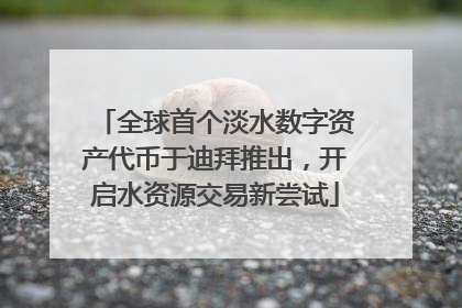 全球首个淡水数字资产代币于迪拜推出，开启水资源交易新尝试