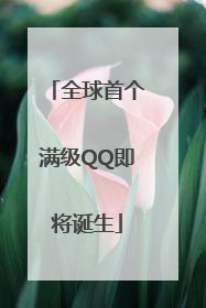 全球首个满级QQ即将诞生