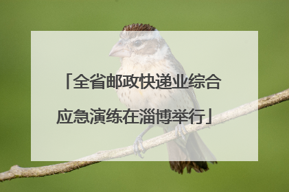 全省邮政快递业综合应急演练在淄博举行