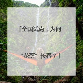 全国试点，为何“花落”长春？