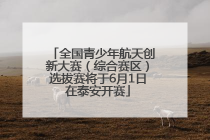 全国青少年航天创新大赛（综合赛区）选拔赛将于6月1日在泰安开赛