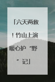 六天两救！竹山上演暖心护“野”记