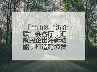 兰山区“沂企联”会客厅：汇聚民企出海新动能，打造跨境发展“强磁场”