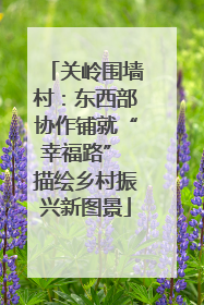 关岭围墙村：东西部协作铺就“幸福路” 描绘乡村振兴新图景