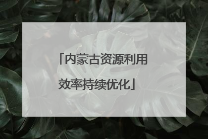 内蒙古资源利用效率持续优化