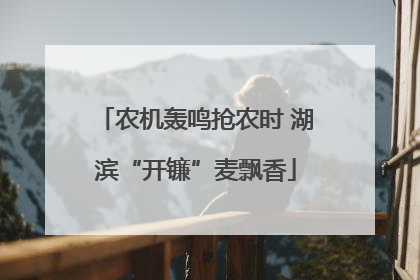 农机轰鸣抢农时 湖滨“开镰”麦飘香