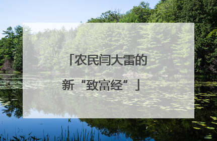 农民闫大雷的新“致富经”