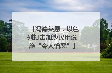 冯德莱恩：以色列打击加沙民用设施“令人憎恶”