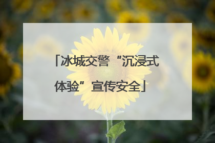 冰城交警“沉浸式体验”宣传安全
