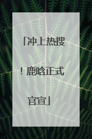 冲上热搜！鹿晗正式官宣