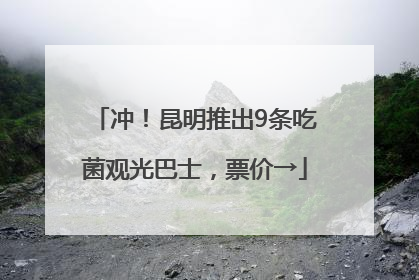 冲！昆明推出9条吃菌观光巴士，票价→