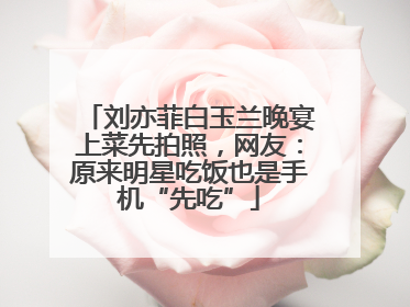 刘亦菲白玉兰晚宴上菜先拍照，网友：原来明星吃饭也是手机“先吃”