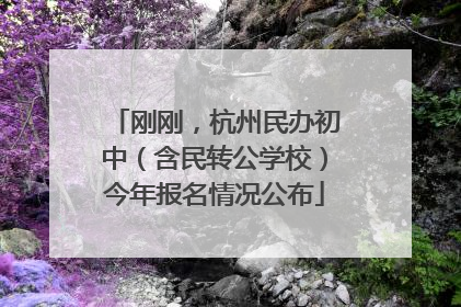 刚刚，杭州民办初中（含民转公学校）今年报名情况公布