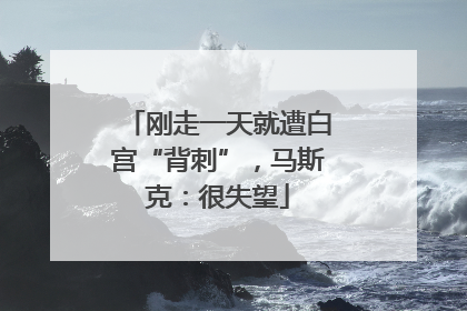 刚走一天就遭白宫“背刺”，马斯克：很失望