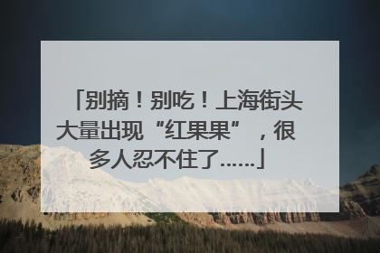 别摘！别吃！上海街头大量出现“红果果”，很多人忍不住了……