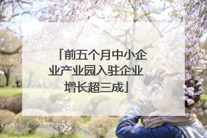 前五个月中小企业产业园入驻企业增长超三成