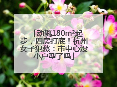动辄180m²起步，四房打底！杭州女子犯愁：市中心没小户型了吗