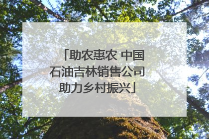 助农惠农 中国石油吉林销售公司助力乡村振兴