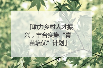 助力乡村人才振兴，丰台实施“青苗培优”计划