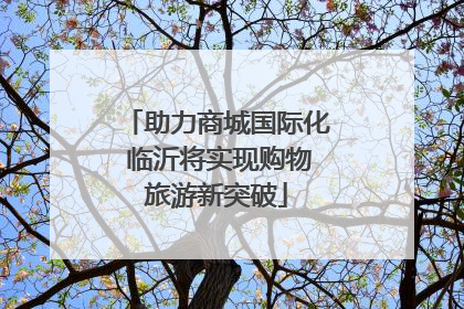 助力商城国际化 临沂将实现购物旅游新突破