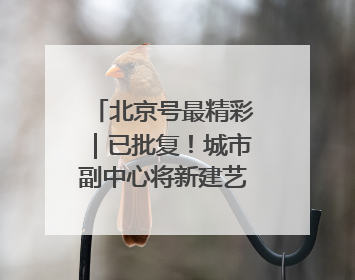 北京号最精彩｜已批复！城市副中心将新建艺术休闲街区