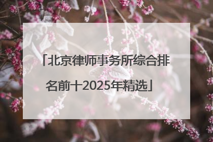北京律师事务所综合排名前十2025年精选