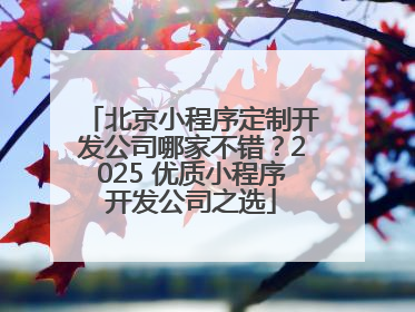 北京小程序定制开发公司哪家不错？2025 优质小程序开发公司之选