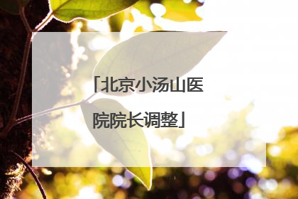 北京小汤山医院院长调整