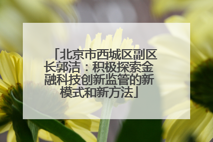 北京市西城区副区长郭洁：积极探索金融科技创新监管的新模式和新方法