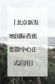 北京新发地国际香蕉集散中心正式启用
