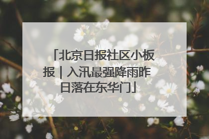 北京日报社区小板报｜入汛最强降雨昨日落在东华门