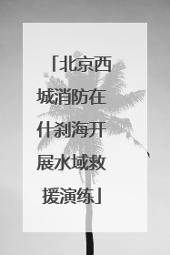 北京西城消防在什刹海开展水域救援演练