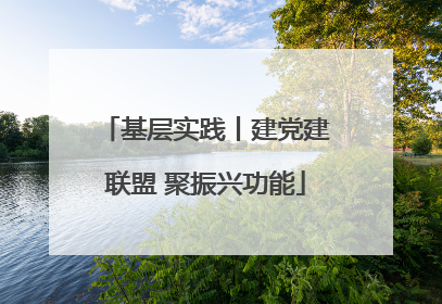 基层实践丨建党建联盟 聚振兴功能
