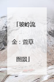 坡岭流金：萱草图景