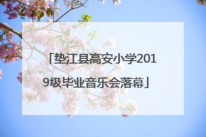 垫江县高安小学2019级毕业音乐会落幕