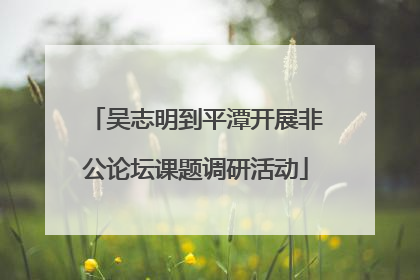 吴志明到平潭开展非公论坛课题调研活动