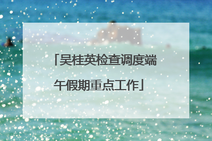吴桂英检查调度端午假期重点工作