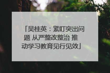 吴桂英：紧盯突出问题 从严整改整治 推动学习教育见行见效