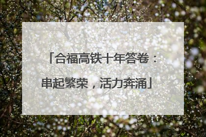 合福高铁十年答卷：串起繁荣，活力奔涌