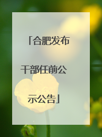 合肥发布干部任前公示公告