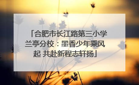 合肥市长江路第三小学兰亭分校：墨香少年乘风起 共赴新程志轩扬