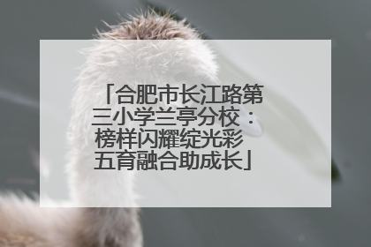 合肥市长江路第三小学兰亭分校：榜样闪耀绽光彩 五育融合助成长