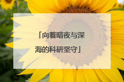向着暗夜与深海的科研坚守