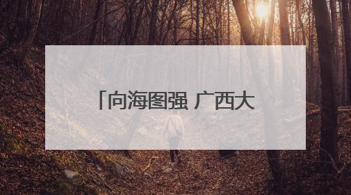 向海图强 广西大力发展海洋经济打造“蓝色引擎”